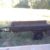 Multi-Purpose Trailer/Motorcycle Trailer - $775 (Raleigh) - Image 3