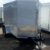 5x8 Enclosed Cargo Trailer-Single Rear Door-5'6