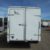 2017 Lark Enclosed 6x14 Cargo Trailer-Tandem - $3795 (Denver) - Image 1