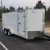 10,000 lb GVW 7x16 TA HORTON HAULER ENCLOSED CARGO TRAILER - $4299 (IN STOCK NOW IN WEST COLUMBIA) - Image 1