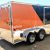 2016 Motorcycle Trailer Wheel Chocks Tie Downs Ready To Go - $5900 (Jackson) - Image 4