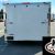 8.5x24 ENCLOSED CARGO TRAILER IN STOCK NOW - Image 1