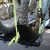 1000LB DOUBLE MOTORCYCLE CARRIER with LOADING RAMP - $279 (santa ana by 5 frwy and grand exit) - Image 3