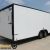8.5x28*'ft White-Out Edition Race* Car Trailer* - $8995 - Image 1
