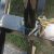 NEW 16' TRAILER W/ NEW TIRES IN SUNNYVALE - $1390 - Image 4