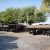 Dump Trailer Blowout Sale - $4750 - Image 3