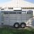 Calico 3H BP Slant Load Horse Trailer - $6495 - Image 2