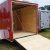 2019 Lark 10' Cargo/Enclosed Trailers 2990 GVWR - $2531 - Image 2