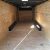 *8.5x34 Round Roof Car Hauler Trailer - CALL (478)400-1319* - $9450 - Image 3