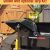 7 x 14 Premium Dump Trailer - 14K GVWR- We Finance, $0 Down -OR - $7899 - Image 2